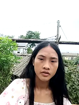 Hoa-tuylip online show from July 29, 7:17 am