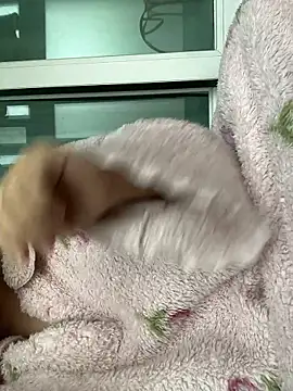 wjddjwjd online show from February 6, 11:52 pm