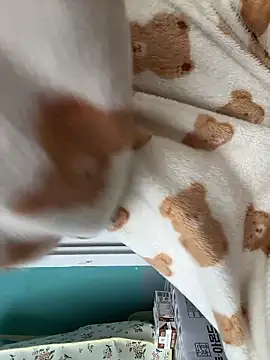 wjddjwjd online show from March 12, 8:20 am