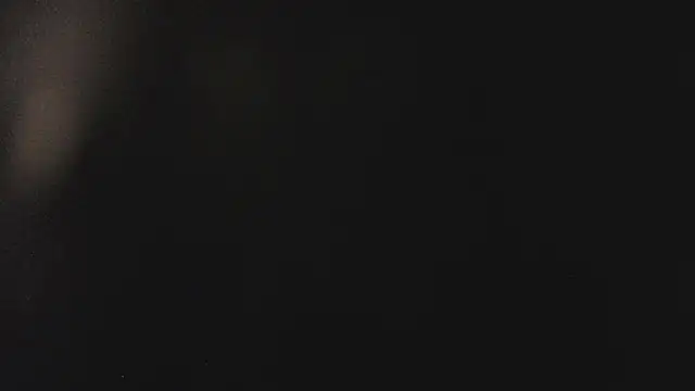 Fancy Vixen online show from February 27, 3:50 am