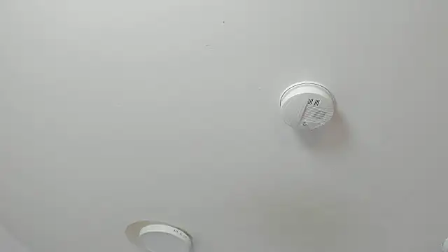 Maddie Rosee online show from March 14, 3:34 am