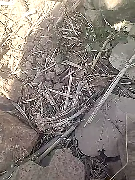 Cute Boy 4 online show from February 18, 7:37 am