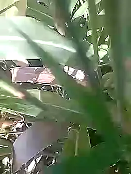 Cute Boy 4 online show from March 1, 5:09 am