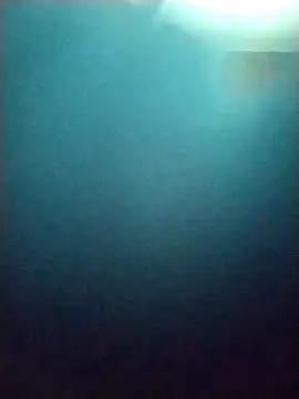 Snapshot of cynliu chatting on April 26, 2:42 am cynliu online show from April 26, 2:42 am