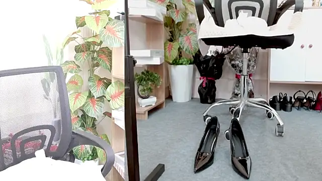 Zinna999 online show from March 7, 6:32 am