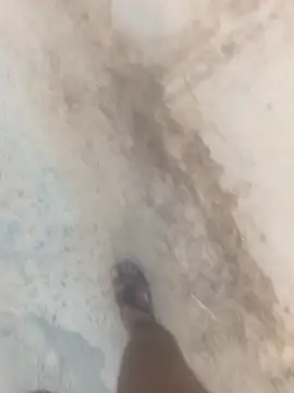 Rajustt online show from March 24, 11:59 am