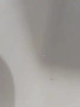 Snapshot of ONixCris chatting on March 13, 6:20 am ONixCris online show from March 13, 6:20 am