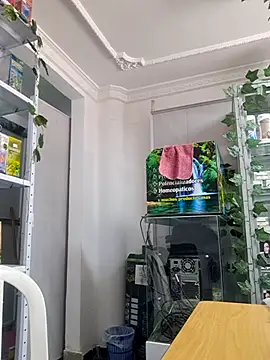 Tatianna Loove  online show from February 17, 2:35 pm