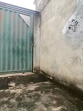 eu sofia online show from March 6, 8:44 am