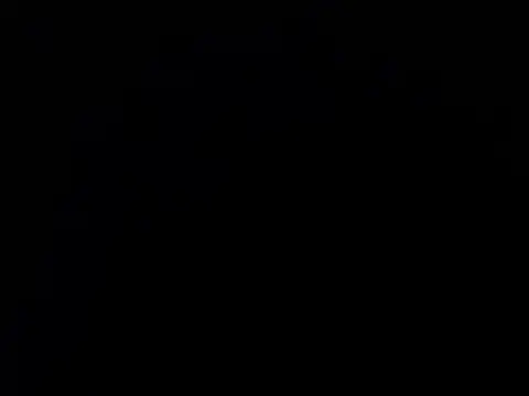 paula ross  online show from February 15, 5:20 pm