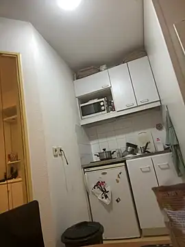 leh31l online show from February 7, 6:55 pm