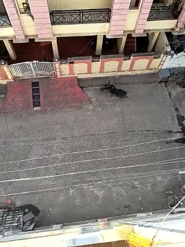 Castrol1289 online show from February 11, 3:00 am