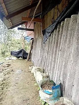 Anna 516 online show from March 10, 5:45 am