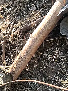 Snapshot of Vinita_cuty chatting on February 9, 4:16 am Vinita cuty online show from February 9, 4:16 am