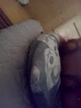 Snapshot of loveofpetitegirls34 chatting on February 21, 8:26 am loveofpetitegirls34 online show from February 21, 8:26 am