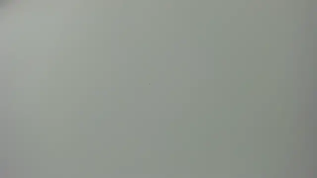 Raven love online show from April 28, 5:18 pm