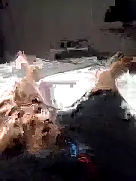 Al-Hari online show from February 4, 4:13 pm