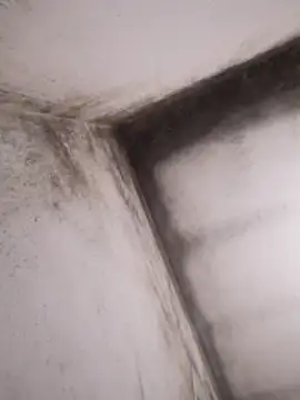 Lamich online show from February 13, 9:33 pm