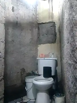 polla large active online show from April 12, 6:35 pm