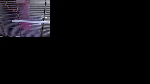 sophi and coby online show from May 2, 5:12 am