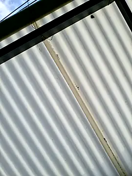 Pau 2007 online show from February 9, 1:04 pm