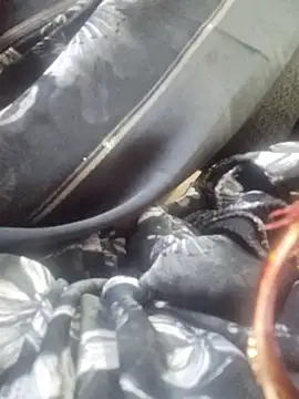 SexybeboX online show from March 19, 5:44 am