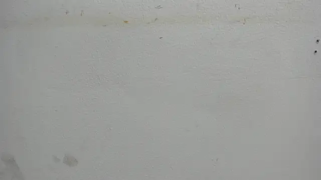 Kitty f00x online show from July 15, 12:54 pm