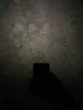 Snapshot of stallone_italiano_62 chatting on February 17, 11:22 pm stallone italiano 62 online show from February 17, 11:22 pm