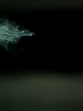 Snapshot of maharashtra_boy_mh19 chatting on March 18, 8:45 pm maharashtra boy mh19 online show from March 18, 8:45 pm