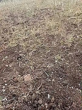 yusu 3 online show from February 23, 11:40 am