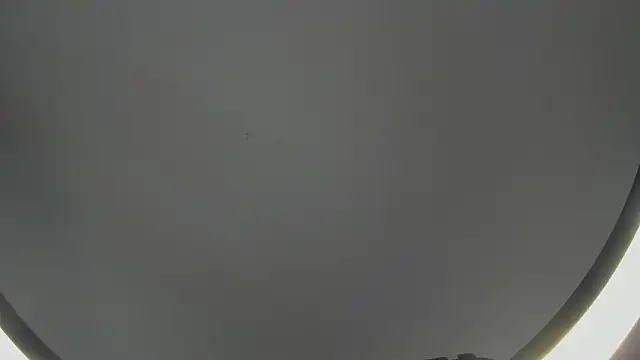 SinLickerr online show from February 18, 7:43 pm