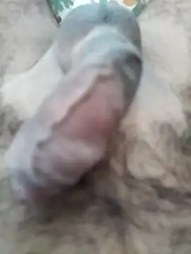 Love Sabby 700 online show from April 28, 4:50 am