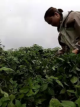 lovely-742 online show from February 28, 1:50 am