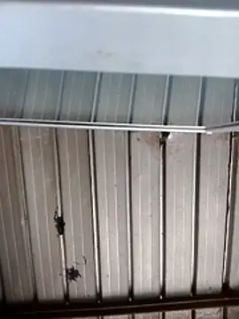Noscay online show from July 23, 1:20 pm