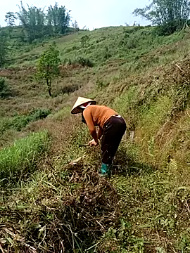 nelina 12345 online show from April 25, 2:03 am