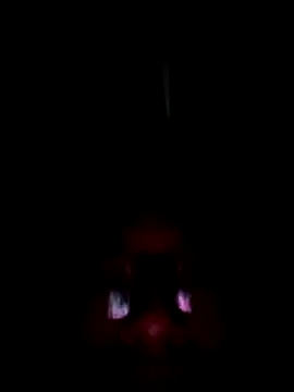 Rebexperience online show from March 22, 6:28 am