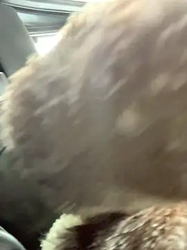 Emily-Fire online show from March 5, 7:21 pm