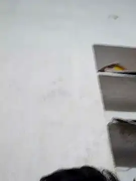 gita2006 online show from February 28, 10:27 am