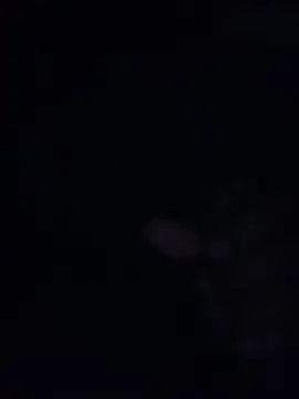 King cotize online show from March 21, 4:06 am