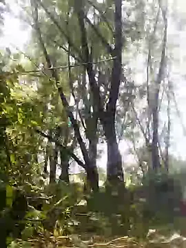 marti 8 online show from May 23, 12:31 pm