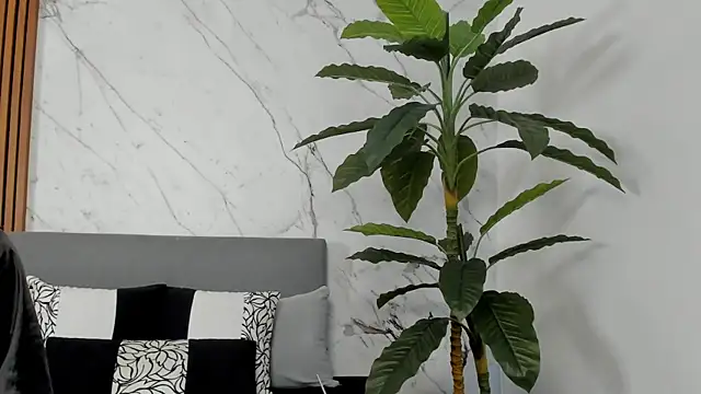 Snapshot of Amara_Velvet_ chatting on July 14, 9:53 pm Amara Velvet online show from July 14, 9:53 pm