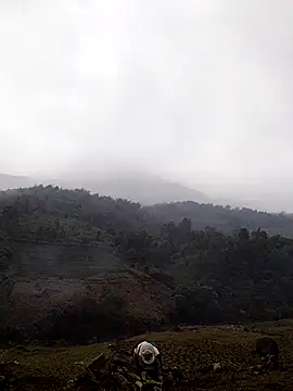 lyly sexx online show from March 14, 4:29 am