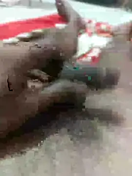 raja 418142 online show from March 19, 10:08 am