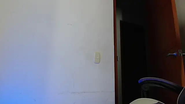 Snapshot of kamado_DSL chatting on March 22, 6:06 am kamado DSL online show from March 22, 6:06 am