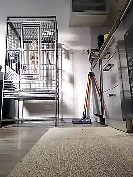 sexy8993 online show from April 13, 5:40 pm