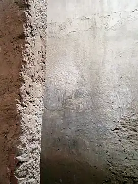 1997rojas online show from March 6, 3:52 pm