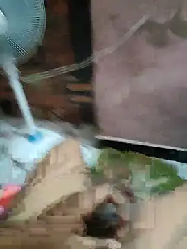 Daddy 883 online show from March 10, 12:48 am