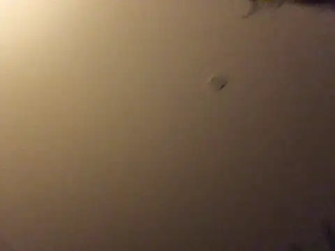 Snapshot of Bigboadick chatting on June 15, 8:55 pm Bigboadick online show from June 15, 8:55 pm