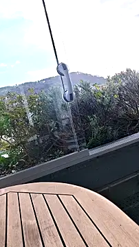 public streamer online show from March 17, 2:31 pm