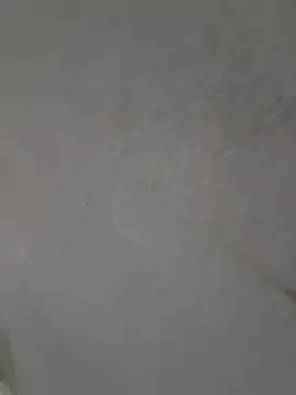 Snapshot of Casandraxquesi chatting on March 11, 4:13 pm Casandraxquesi online show from March 11, 4:13 pm
